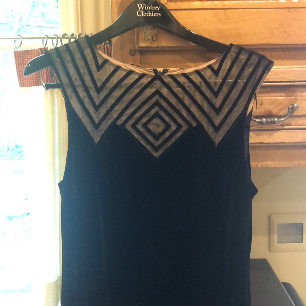 Alex evenings velvet gown